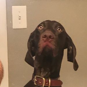 Meet your Posher, Dustin